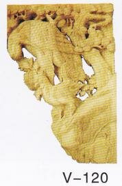 V-120